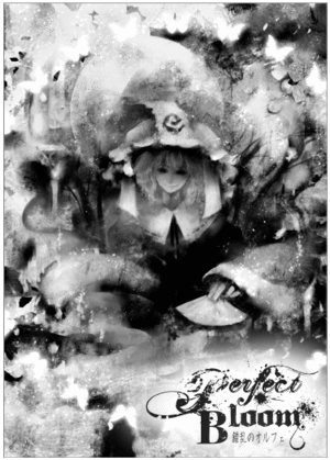 Perfect Bloom封面.gif