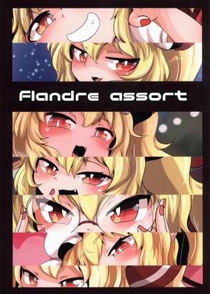 Flandre assort封面.jpg