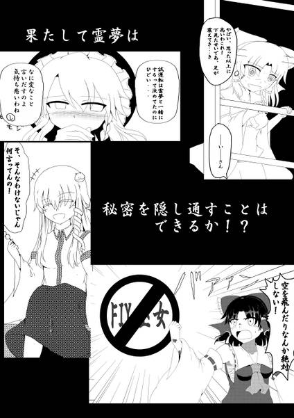 文件:博麗霊夢の秘密预览图3.jpg