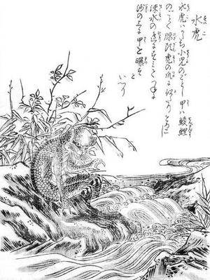 鸟山石燕所绘水虎.jpg
