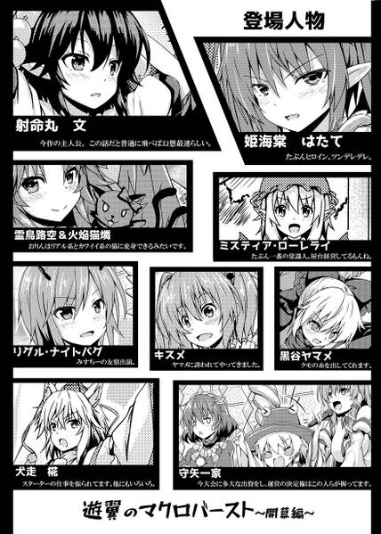 文件:遊翼のマクロバースト～開幕編～预览图1.jpg