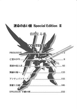 運命の赤い瞳Special EditionII 彷徨える魂预览图1.jpg