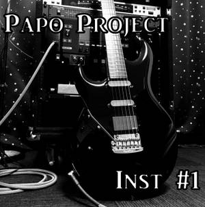 Papo Project Inst ＃1封面.jpg