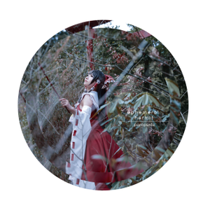 ephemeral hermit封面.png