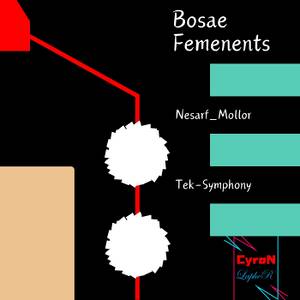 Bosae Femenents封面.jpg