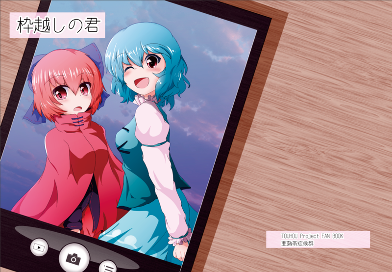 文件:枠越しの君封面.png
