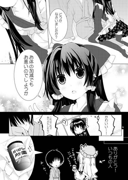 文件:霊夢さんは従順メイド预览图2.jpg