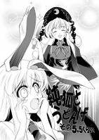純狐とうどんげその5.5