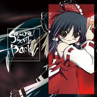 Samurai Strikes Back