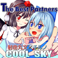 The Best Partners 封面图片