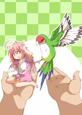 MYSTIA BIRD COLLABORATION预览图1.jpg