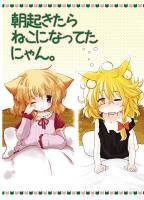 朝起きたらねこになってたにゃん。