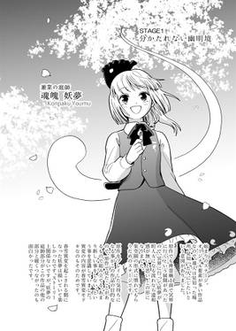 東方原作風漫画『東方架空園』クリア記念本预览图2.jpg