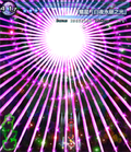 耀星「白夜永昼之光」.png