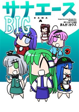 サナエース BIG封面.jpg