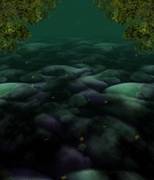 圣域森林内部（锦上京二面场景）