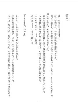 光視の旅人 上预览图1.jpg