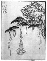 鸟山石燕《画图百鬼夜行·钓瓶火》
