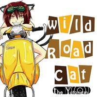 Wild Road Cat