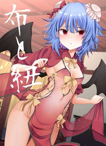 文件:布と紐封面.jpg