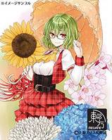 執事眼鏡eyemirror/東方MEGANE/幽香モデル- THBWiki · 专业性的东方