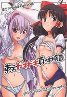 東方ドキドキ身体検査