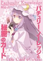 パチュリー・ノーレッジと秘密のカード