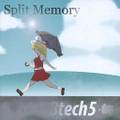 Split Memory 封面图片