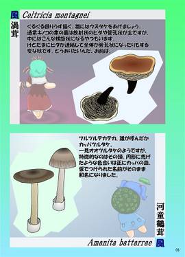 東方少女系キノコ図鑑 花風地星预览图2.jpg