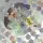 Reign封面.webp