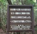2025年5月22日 (四) 09:42版本的缩略图