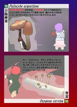 東方少女系キノコ図鑑 花風地星预览图3.jpg