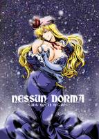 NESSUN DORMA～誰も寝てはならぬ～
