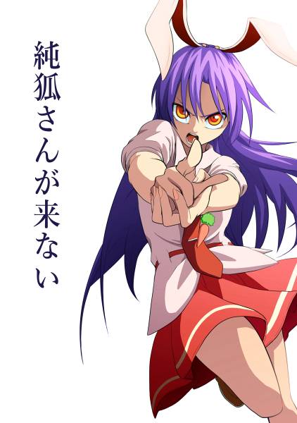 文件:純狐さんが来ない封面.jpg