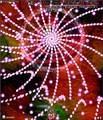 2018年1月11日 (四) 06:23版本的缩略图
