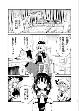 東方霊夢事変预览图1.jpg