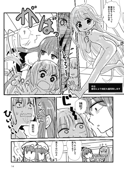 文件:妹紅透明人間計画幻想郷編预览图4.png