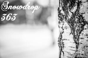 Snowdrop（アオイツキヲミテタ）封面.jpg