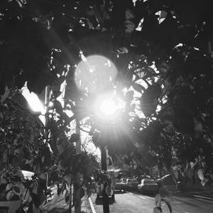 Where Dream Begins and Ends封面.jpg