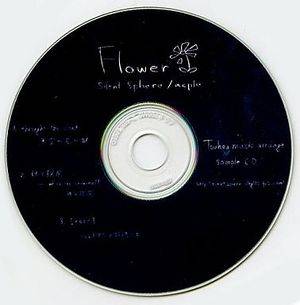 flower（Silent Sphere）封面.jpg