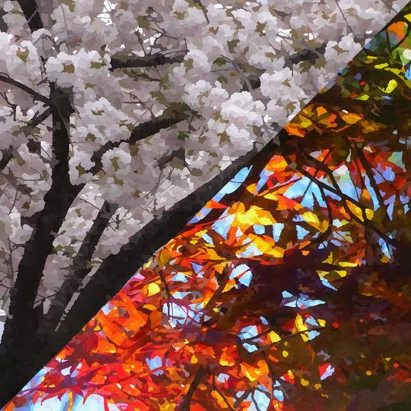 文件:四季折々 ～ Four Seasons封面.jpg