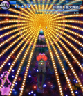 许愿星「星火辉迹」.png