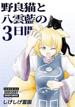 野良猫と八雲藍の3日間封面.jpg