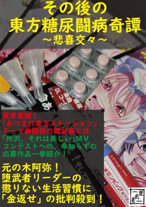 その後の東方糖尿闘病奇譚～悲喜交々～封面.jpg