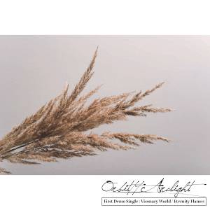 First Demo Single封面.jpg