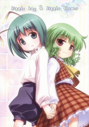 little bug&little flower封面.jpg