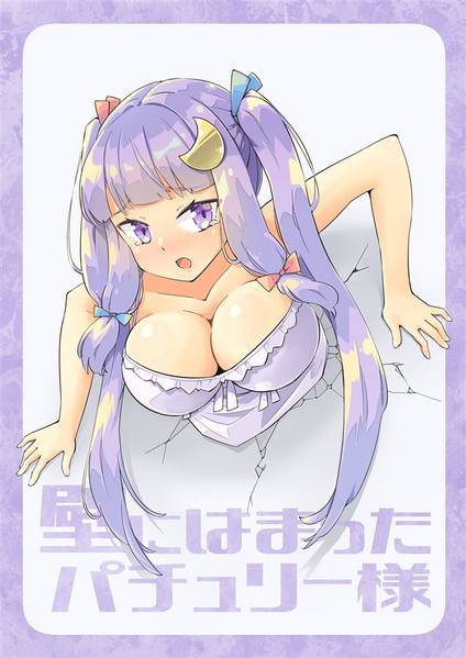 文件:壁にはまったパチュリー様封面.jpg