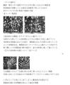 2025年7月6日 (日) 12:51版本的缩略图