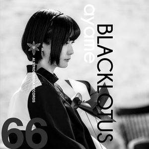 BLACKLOTUS LIMITED INSTRUMENTAL封面.jpg