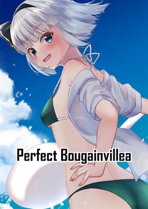 Perfect Bougainvillea封面.jpg